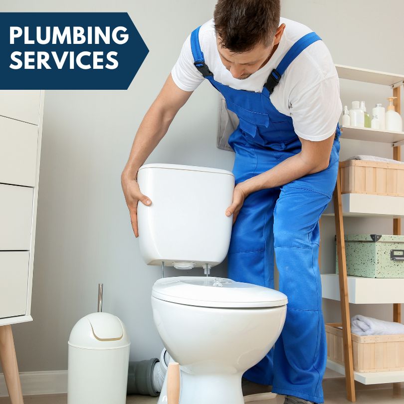 Plumbing Company in Oconee, IL